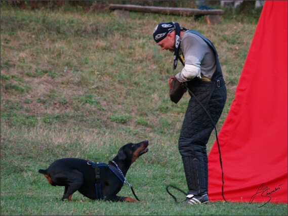 Summer training camp - Jelenec - 2007